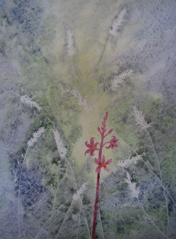 Orchid